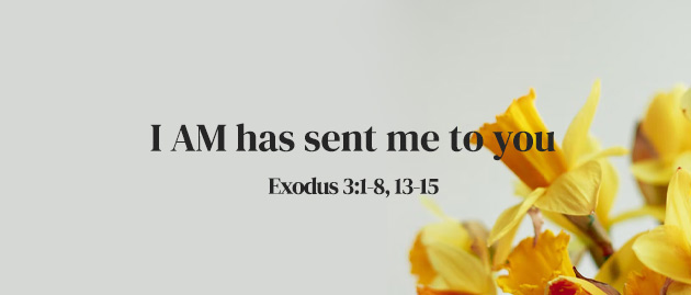 3rd Sunday of Lent