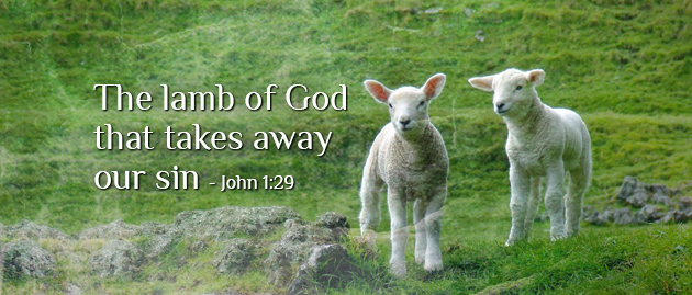 2nd Sunday of the Year