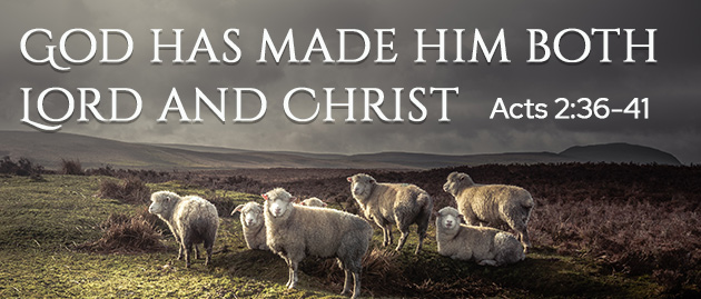 4th Sunday of Easter